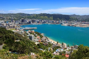 Wellington Freedom Day