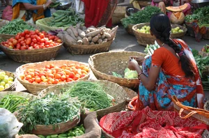 Jaipur, 3 nights