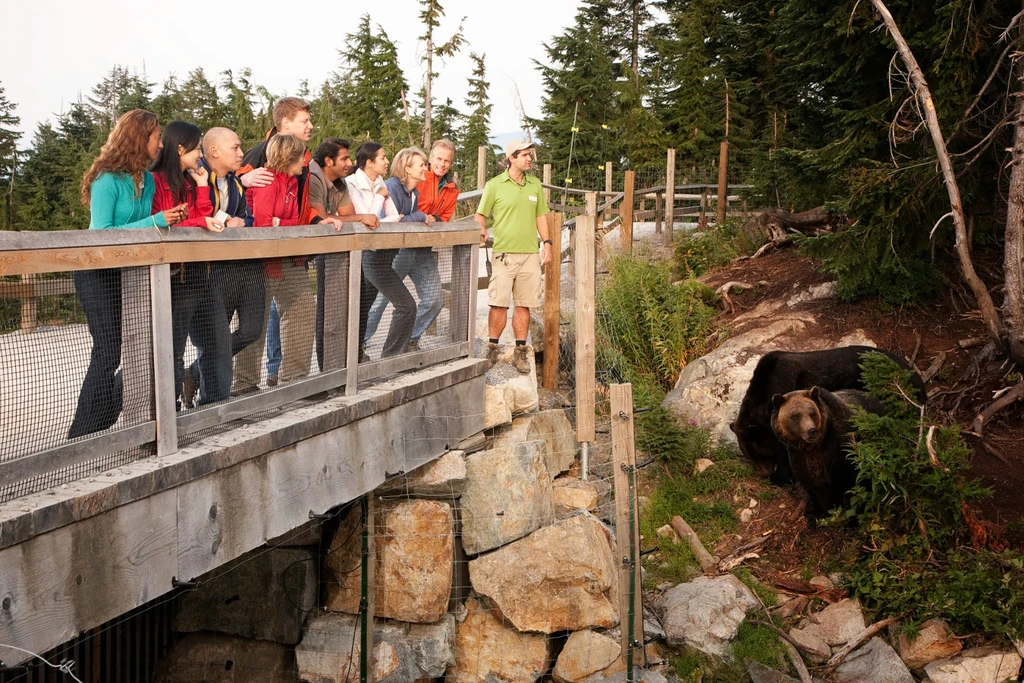 Grouse Mountain & Capilano Suspension Bridge