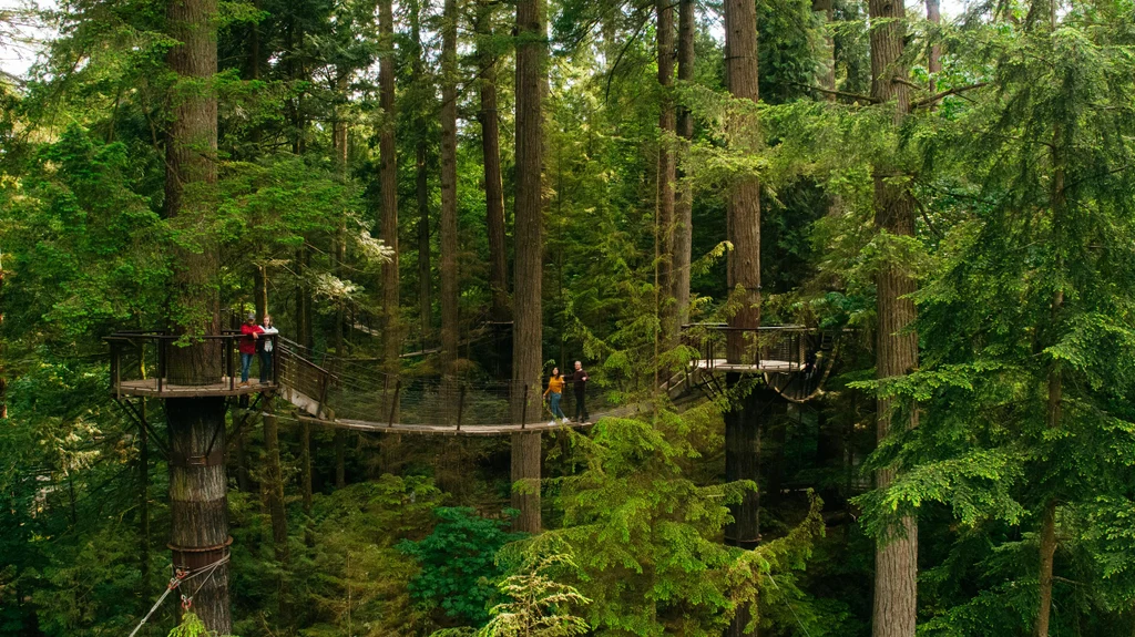 Grouse Mountain & Capilano Suspension Bridge