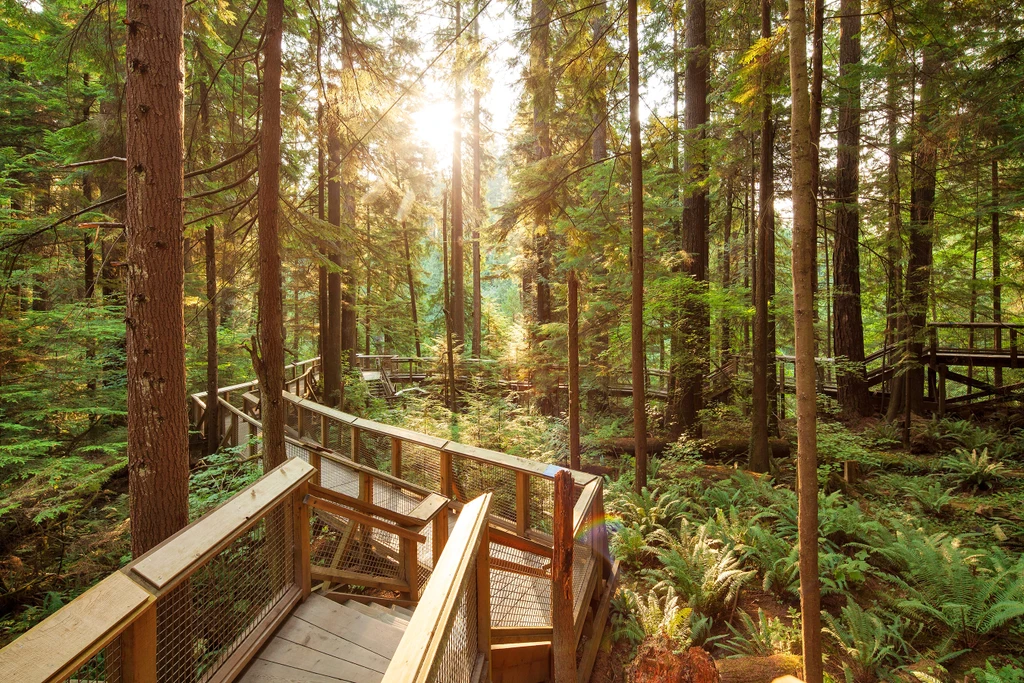 Grouse Mountain & Capilano Suspension Bridge