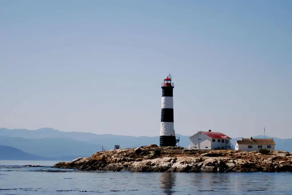 Whale Watching – Zodiac Boat