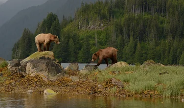 Knight Inlet