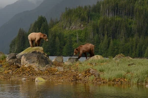 Knight Inlet Lodge, 2 nights