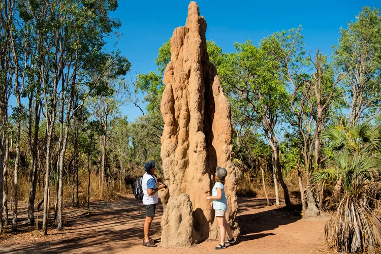Litchfield National Park