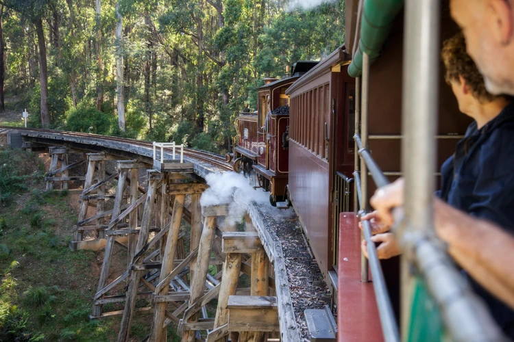 Puffing Billy Steam Train & Penguin Day Tour