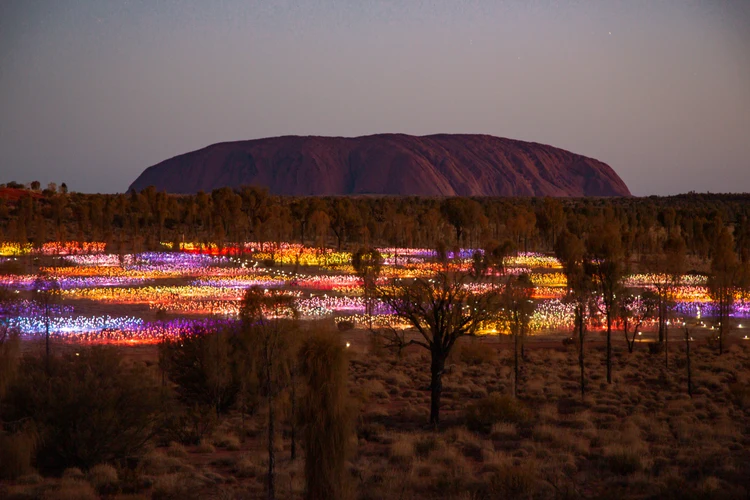 Field of Light Self Guided Walk