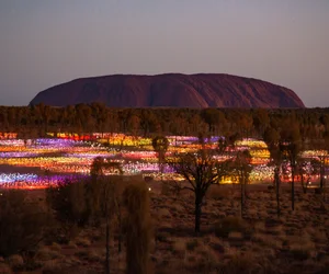 Field of Light Self Guided Walk