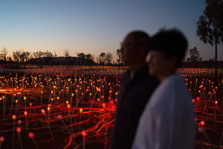 Field of Light Dinner
