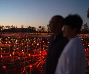 Field of Light Dinner