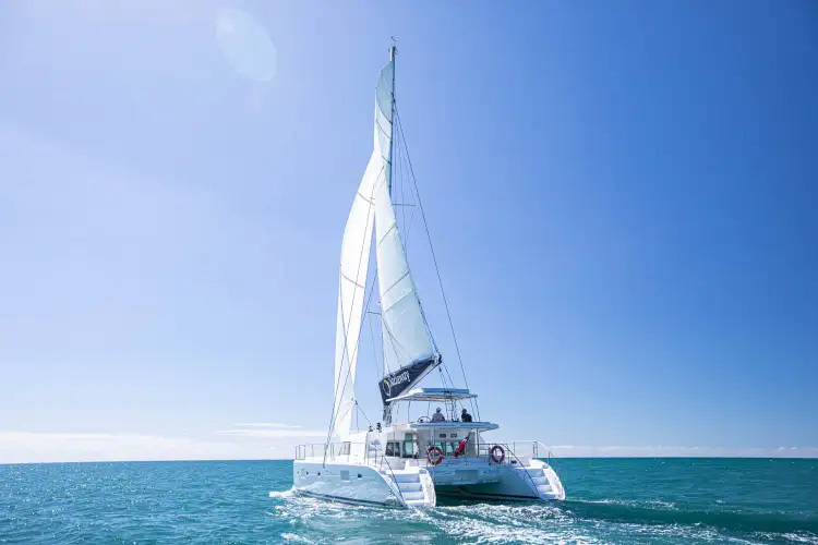 Low Isles Full Day Tour