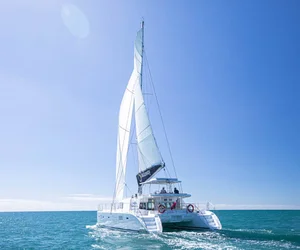 Low Isles Full Day Tour