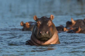 Kruger National Park