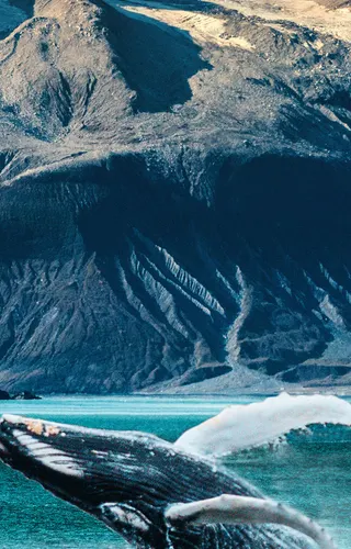 Grand Canadian Rockies & Alaskan Cruise