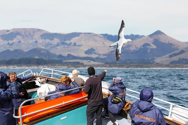 City to Sea Wildlife Cruise