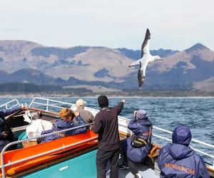 City to Sea Wildlife Cruise