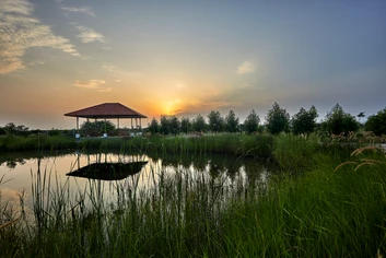 Blackbuck Safari Lodge