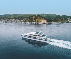 Catalina Island Day Trip