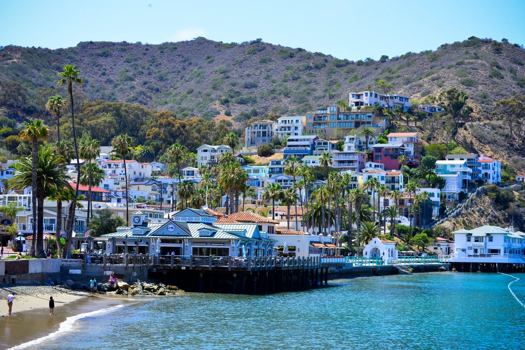 Catalina Island Day Trip