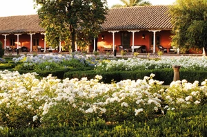 Maipo Valley