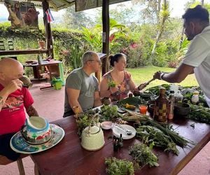 Medicinal Plants Tour