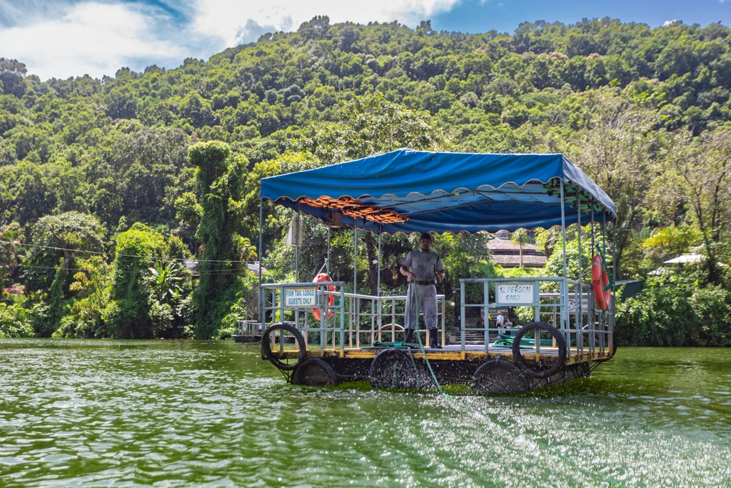 Fish Tail Lodge