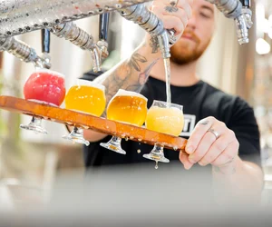The Best of Brisbane Brewery Tour