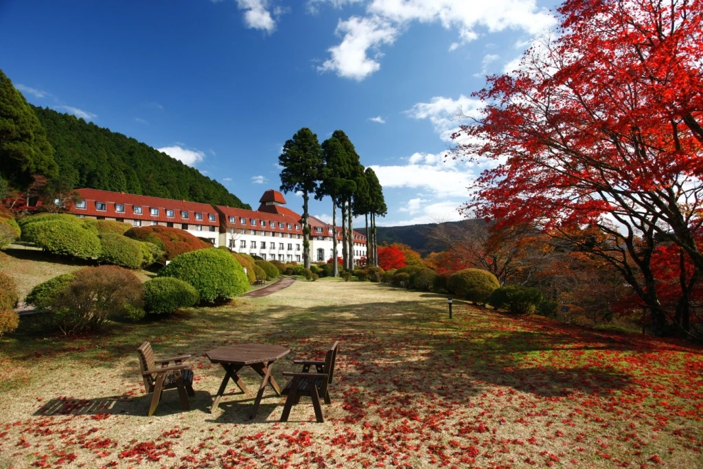 Hotel de Yama, Lake Ashi