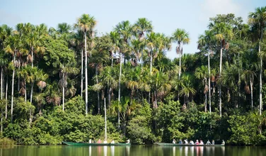 Discover the Amazon