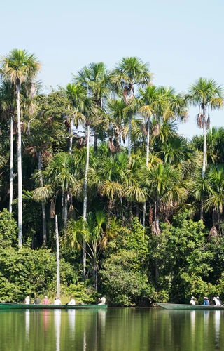 Discover the Amazon