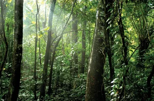 Puerto Maldonado, 3 nights
