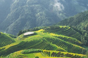 Longsheng Rice Terraces