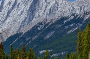 Jasper, 2 nights