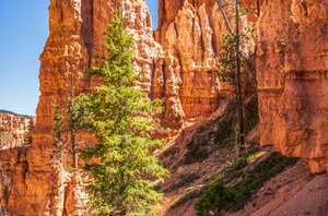 Bryce Canyon National Park / Torrey, Overnight