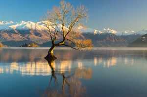 Franz Josef, 2 nights