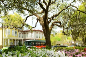 Savannah, 3 nights