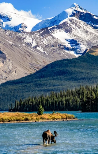Spectacular Canadian Rockies