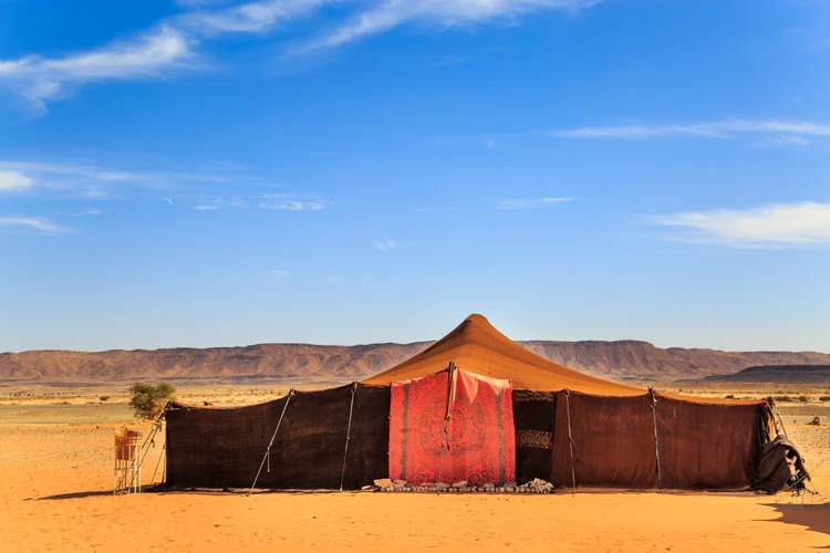Evening Desert Safari