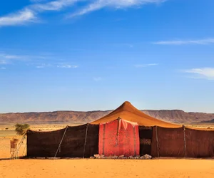 Evening Desert Safari