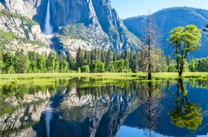 Yosemite National Park