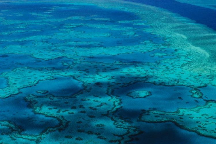 Hook Island Cultural Tour