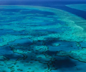 Hook Island Cultural Tour