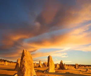 Pinnacles Desert Sunset Tour & Star Gazing