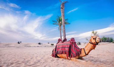 Dubai Stopover, Marriott Hotel Al Jaddaf