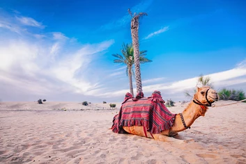 Dubai Stopover, Marriott Hotel Al Jaddaf