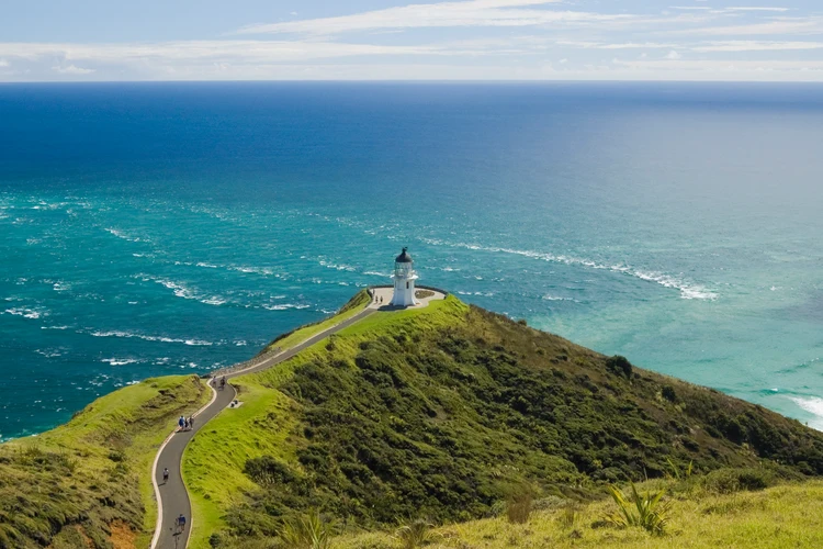 Cape Reinga by Air & 4WD