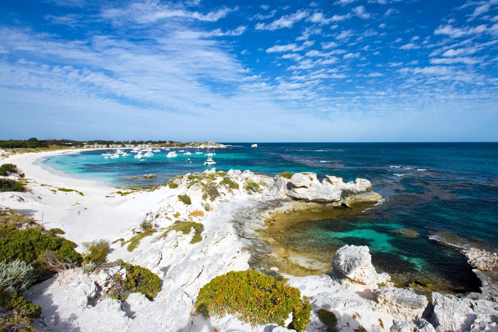 Rottnest Bay Seeker