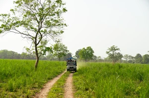 Chitwan National Park