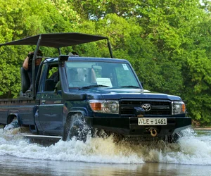 Yala National Park Jeep Safari