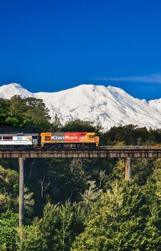 New Zealand by Rail, Road and Sea